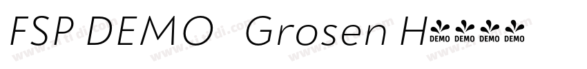 FSP DEMO   Grosen H字体转换